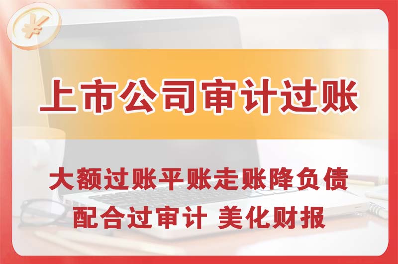拉萨上市公司审计过账